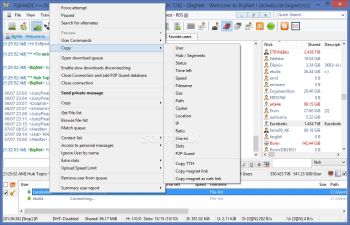 FlylinkDC++ Screenshot